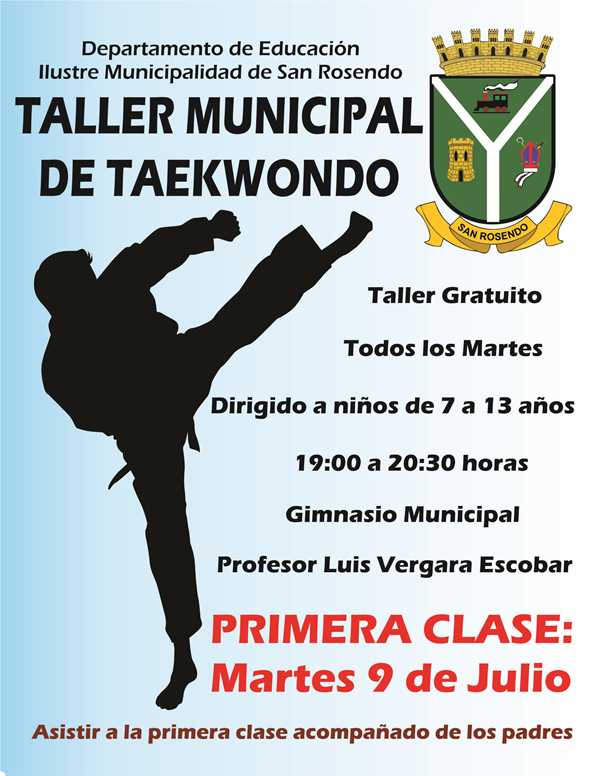 Afiche Taller Taekwondo pweb